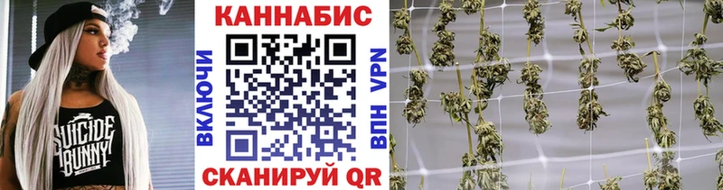 NBOMe Заводоуковск