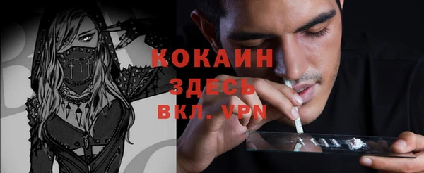 меф Ельня