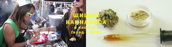 меф Ельня
