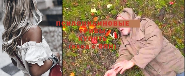 спиды Елизово