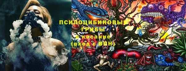 PSILOCYBIN Заводоуковск